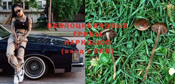 тгк Арсеньев