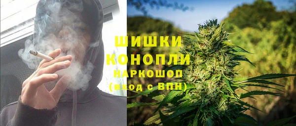 тгк Арсеньев